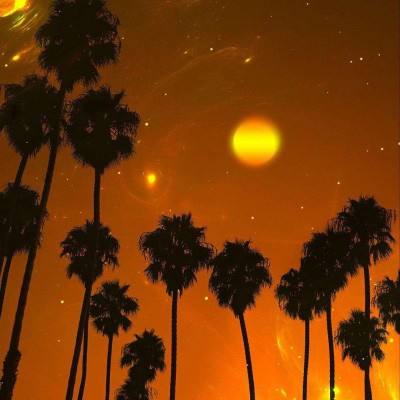 关于“开云电竞APP”app下载